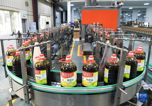 新華全媒 丨國家級食用油保供企業數字化改造提升保供水平 潤滑油脂